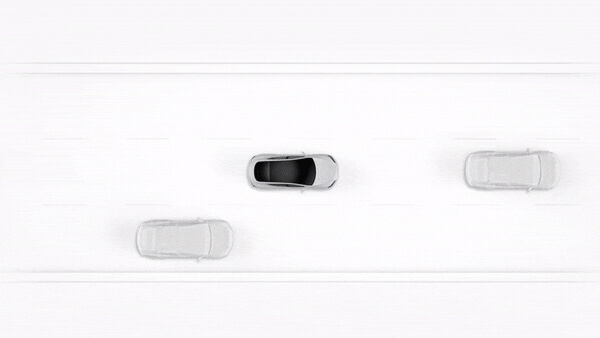图片[2]-Tesla自动辅助驾驶帮助车辆躲避高速路上出现的郊狼-果盐