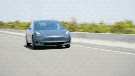 Tesla自动辅助驾驶帮助车辆躲避高速路上出现的郊狼