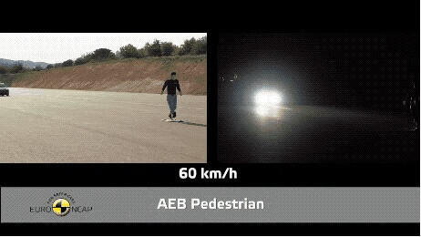 图片[5]-Tesla自动辅助驾驶帮助车辆躲避高速路上出现的郊狼-智客