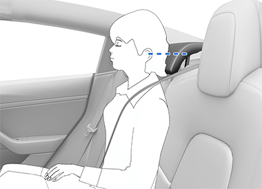 乘客坐在座椅上，一条蓝色虚线从其耳朵中间一直延伸至头枕中央
