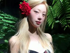 拜托别当笨蛋的头像 - 数字指南