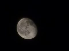 小憨憨的头像 - 数字指南