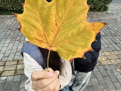 丹巴的头像 - 数字指南